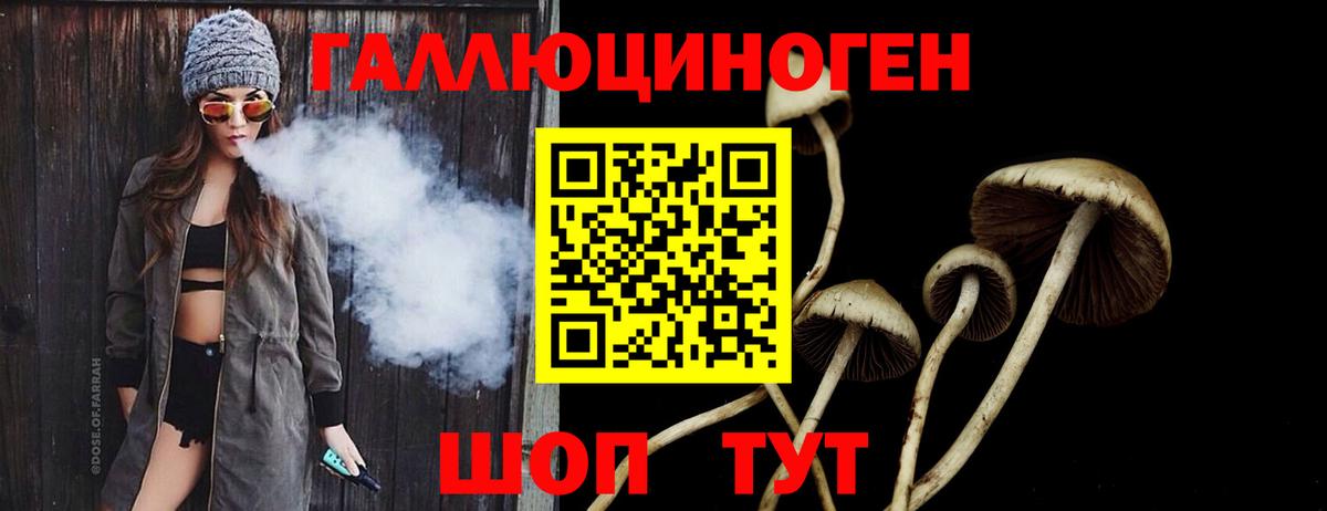 купить  цена  Вход с VPN  Можайск  Псилоцибиновые грибы ЛСД 